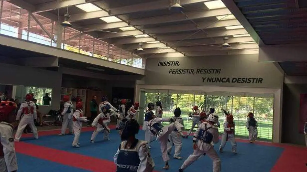 LOS TAEKWONDOÍNES